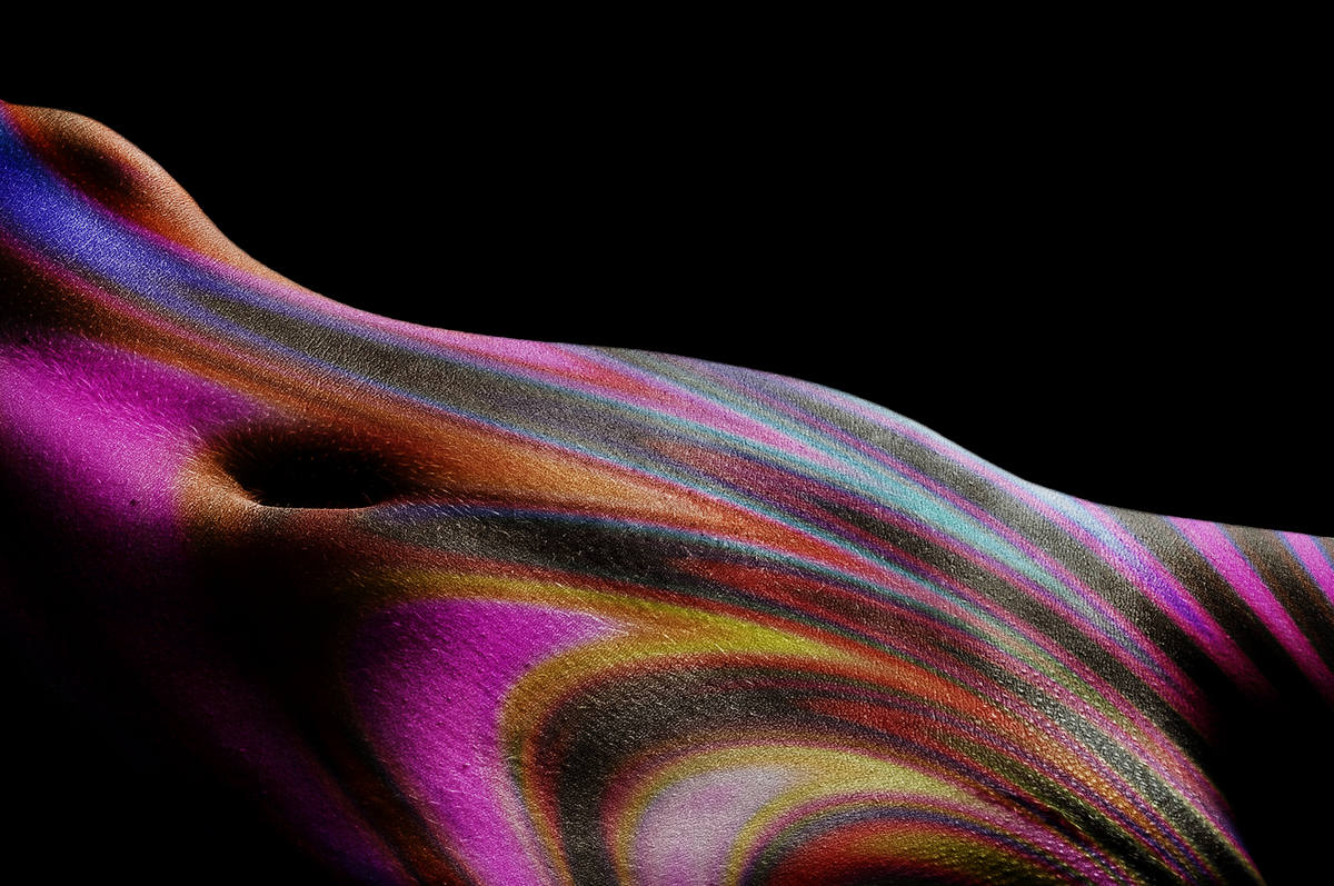 Aktfotos Aktfotografie in  Wien - Salzburg - Graz - Klagenfurt Fotostudio