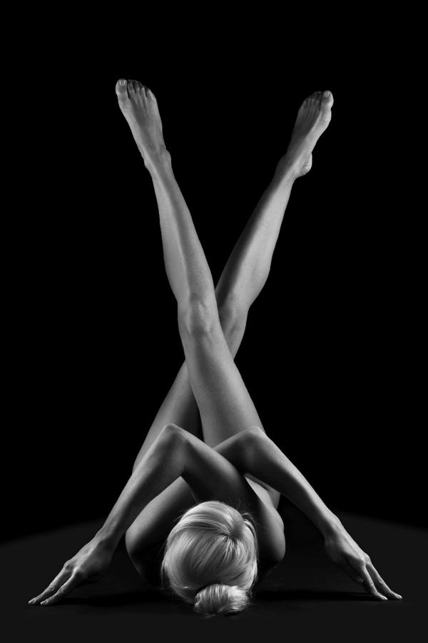 Aktfotos Aktfotografie in  Wien - Salzburg - Graz - Klagenfurt Fotostudio