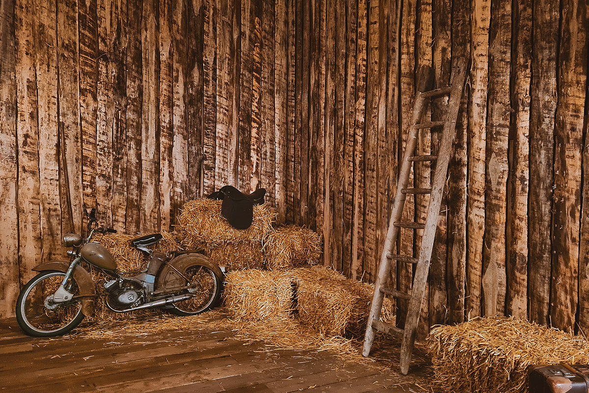 Boudoirfotos Akt Fotoshooting - Wien - Salzburg - Graz - Klagenfurt Fotostudio