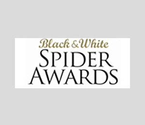 Fotograf für Aktfotografie und Boudoirfotos mit Auszeichnungen Awards Fotostudio Wien Linz Graz Fotoshootings